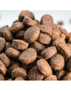 Cordero Sin Cereales Con Carne Fresca Omega Nature 2