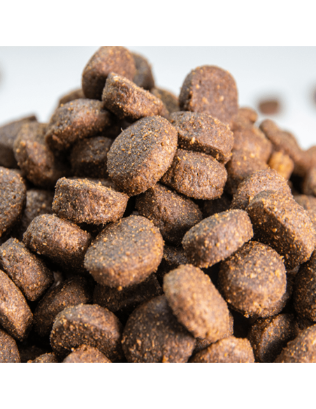 Cordero Sin Cereales Con Carne Fresca Omega Nature