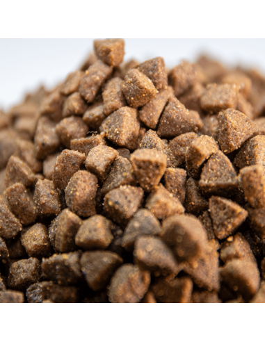 Gatitos Sin Cereales Con Carne Fresca Omega Nature