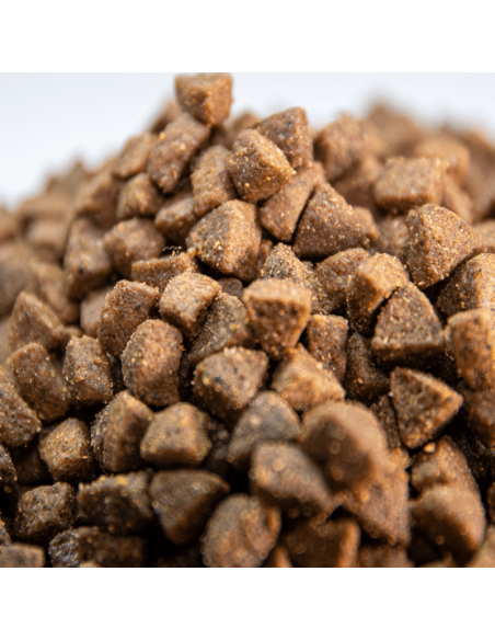 Gatitos Sin Cereales Con Carne Fresca Omega Nature