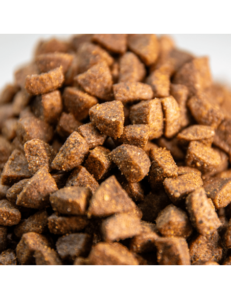 Gatos Adultos Sin Cereales Con Carne Fresca Omega Nature