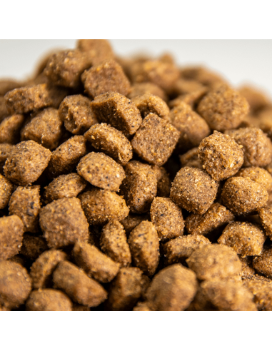 Mantenimiento Mini Omega Nature