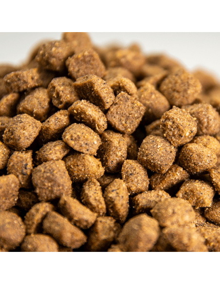 Mantenimiento Mini Omega Nature