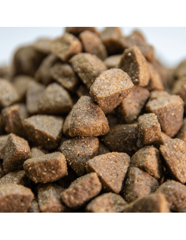 Adultos Pescado Sin Cereales Omega Nature